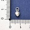 925 Sterling Silver Pendants STER-P057-07A-S-3