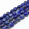 Natural Lapis Lazuli Beads Strands X-G-R445-6x8-35-1