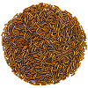 3000Pcs Glass Bugle Beads SEED-PA0001-13A-7