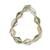Transparent Handmade Lampwork Beads LA-CBAF0C8-02D-4