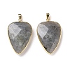 Faceted Natural Labradorite Pendants G-F340-02D-2