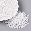 FGB Glass Seed Beads SEED-Q040-08A-01-1