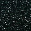 TOHO 11/0 Round Beads X-SEED-TR11-0939-2