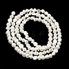 Electroplated Shell Pearl Beads Strands BSHE-B008-06A-2