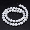 Round Natural Howlite Bead Strands G-F222-14-8mm-3