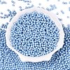 Glass Seed Beads SEED-T007-01N-1
