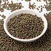 MIYUKI Round Rocailles Beads X-SEED-G008-RR2035-4