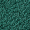 12/0 Grade A Round Glass Seed Beads SEED-N001-D-20/218-2