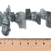 Natural Kyanite Beads Strands G-C253-04-5