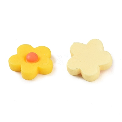 Resin Cabochons CRES-CJ0001-11-1