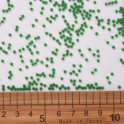 11/0 FGB Grade A Baking Paint Glass Seed Beads X-SEED-N001-A-1028-1