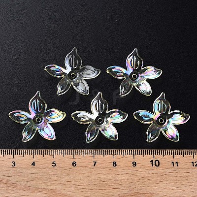 Transparent Acrylic Beads MACR-S373-102-C06-1