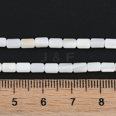 Natural Freshwater Shell Beads Strands BSHE-H109-17A-1