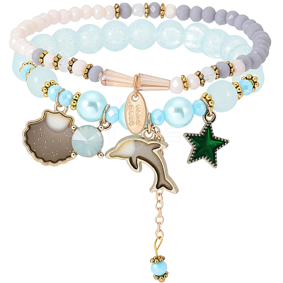 1Bag Plastic & Glass Beaded Stretch Bracelets BJEW-PA0001-10B-1