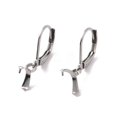 Tarnish Resistant 304 Stainless Steel Leverback Earring Findings STAS-G283-01P-1