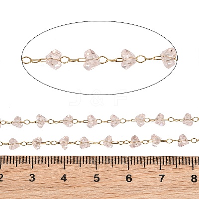 Glass & 304 Stainless Steel Beaded Chains SA-CBAD321-04E-1