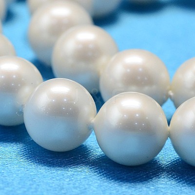 Round Shell Pearl Bead Strands BSHE-L011-10mm-A013A-1
