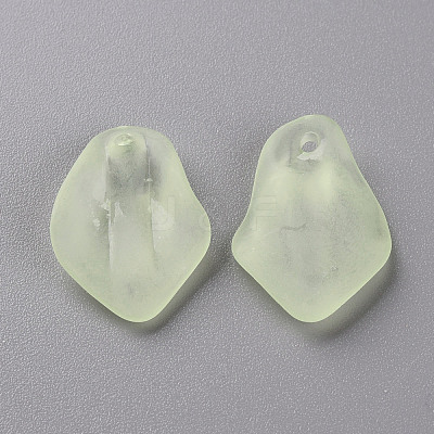 Transparent Frosted Acrylic Pendants MACR-S371-03A-728-1