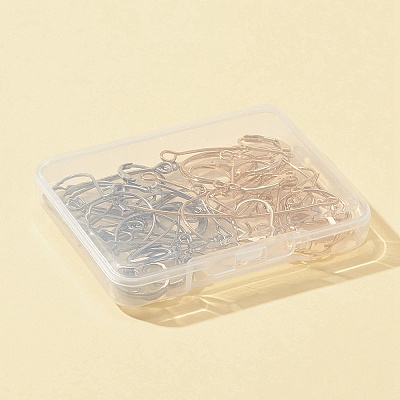 48Pcs 12 Style 304 Stainless Steel Leverback Earring Findings & Earring Hooks STAS-FS0001-28-1