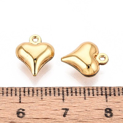 304 Stainless Steel Charms X-STAS-N118-12G-1