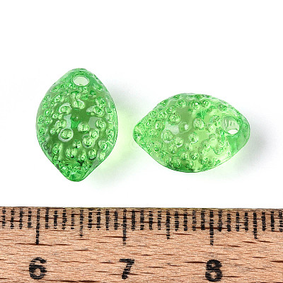 Transparent Acrylic Beads TACR-T028-72B-1