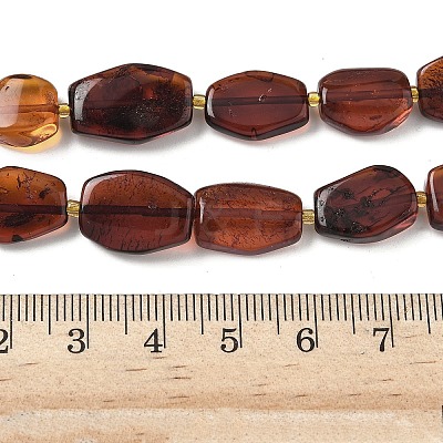Natural Amber Beads Strands G-L095-C01-03-1