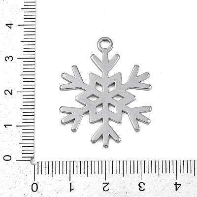 304 Stainless Steel Pendants STAS-G363-04P-1