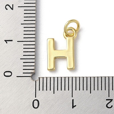 Rack Plating Brass Charms KK-P245-06G-H-1