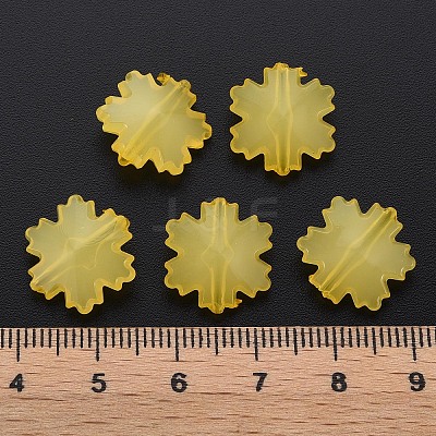 Imitation Jelly Acrylic Beads LS-MACR-S373-92-E07-1