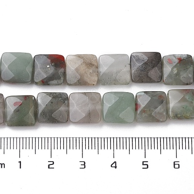 Natural African Bloodstone Beads Strands G-K359-B16-01-1
