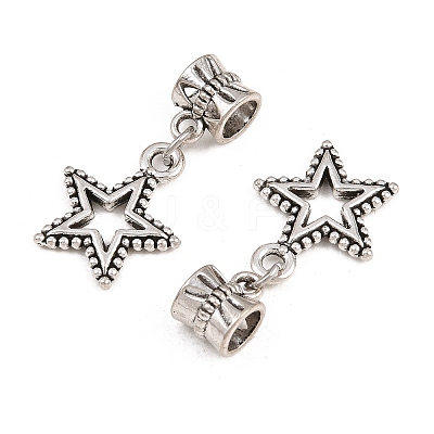 Alloy European Dangle Charms PALLOY-YW001-06-1