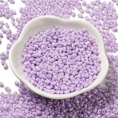 Glass Seed Beads SEED-K009-02A-05-1