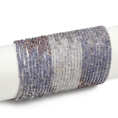 Natural Iolite Beads Strands G-F789-02-1