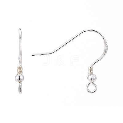 925 Sterling Silver Earring Hooks STER-K167-050S-1