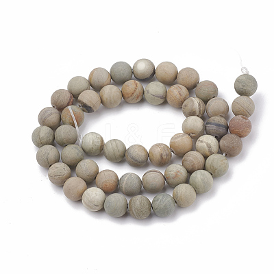 Natural Silver Leaf Jasper Beads Strands G-T106-234-1
