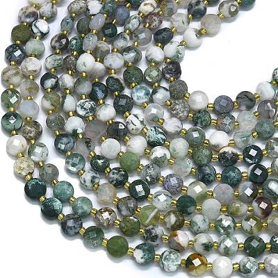 Natural Tree Agate Beads Strands G-K389-B07-01-1