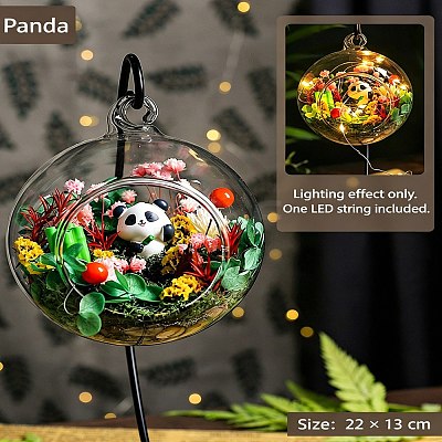 DIY Micro Landscape Making Kits RN-CBA80D0-01B-1
