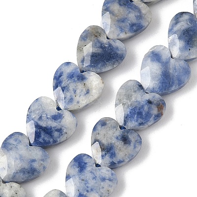 Natural Blue Spot Jasper Beads Strands G-D316-B10-1