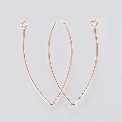 Ion Plating(IP) 304 Stainless Steel Earring Hooks X-STAS-K184-05-01RG-1