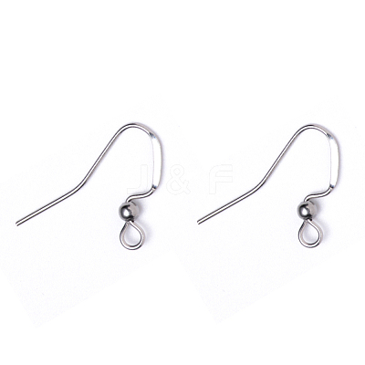 Tarnish Resistant 304 Stainless Steel French Earring Hooks X-STAS-Q229-02-1