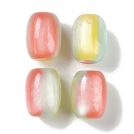Triple Color Resin European Beads RESI-F055-13B-1