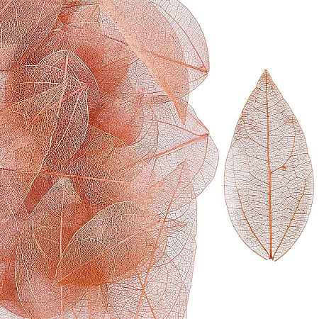 100Pcs Dried Flower Leaf Craft Supplies AJEW-CP0009-41C-1