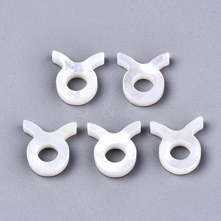 Natural White Shell Beads X-SSHEL-ZX004-02H-1