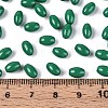 Baking Paint Glass Seed Beads SEED-T007-15O-4