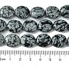 Natural Snowflake Obsidian Beads Strands G-K365-B15-03-5