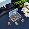 3-Strand 6-Hole Brass Box Clasps FIND-SC0003-31G-7