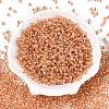 6/0 Transparent Inside Colours Glass Seed Round Beads X1-SEED-N006-004I-2