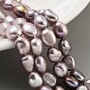 Natural Cultured Freshwater Pearl Beads Strands PEAR-P062-26H-2