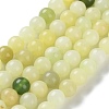 Natural New Jade Round Beads Strands G-O039-16-6mm-01-1