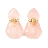 Natural Rose Quartz Perfume Bottle Pendants G-L623-12G-02-1